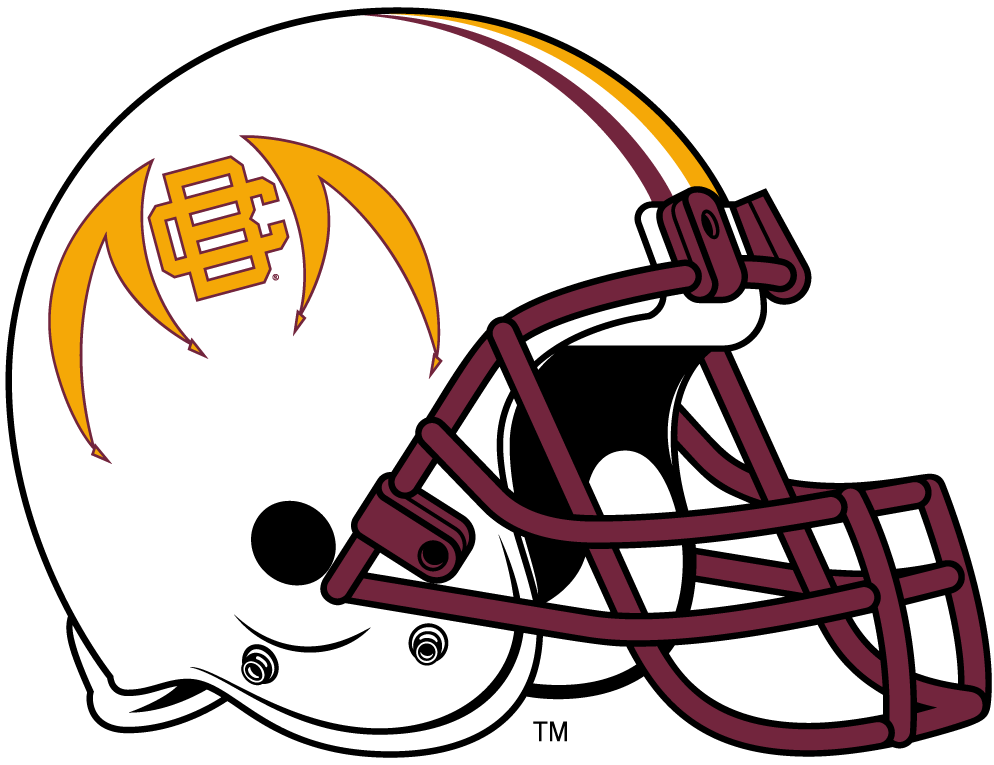 Bethune-Cookman Wildcats 2010-2015 Helmet Logo diy iron on heat transfer
